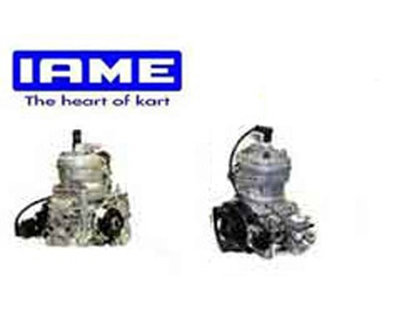 IAME Kart Motoren